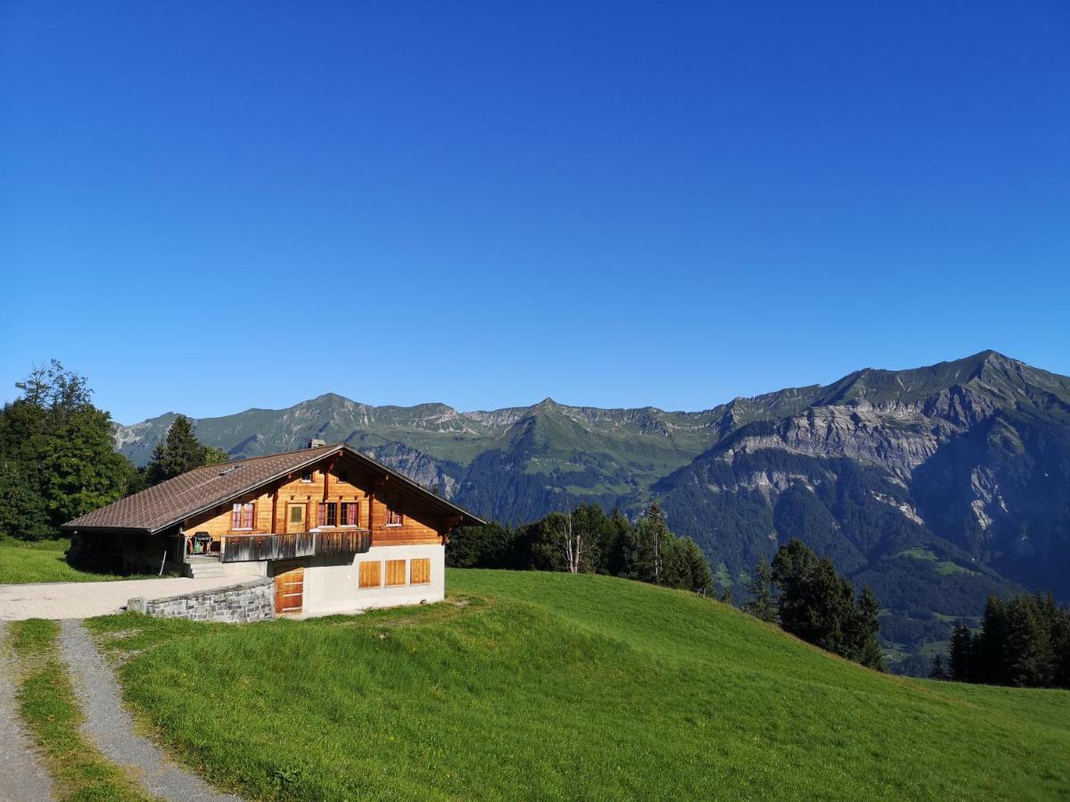 Chalet Mit Alpenambiente Axalp 布里恩茨 外观 照片