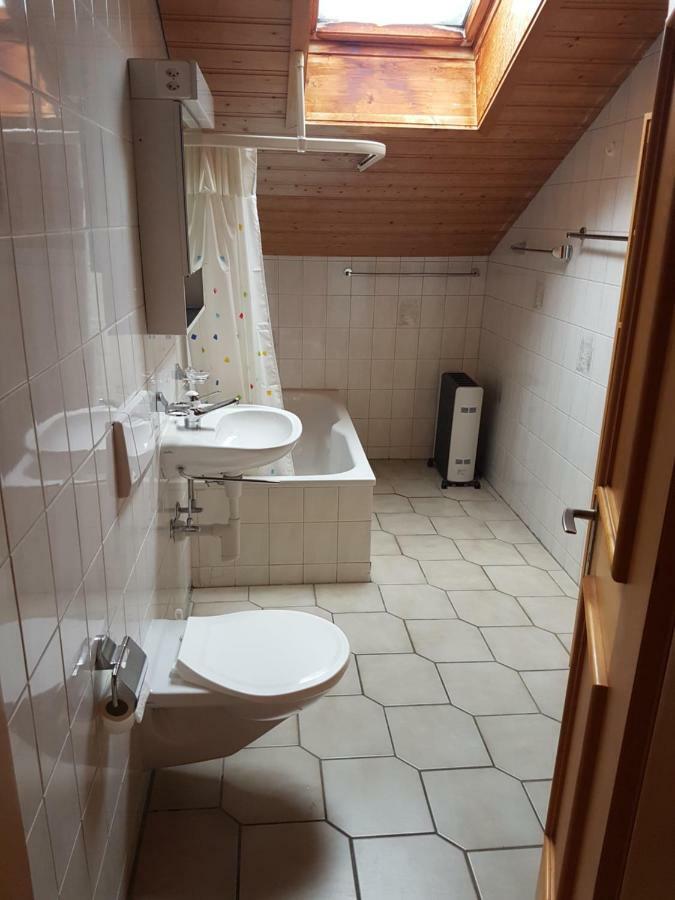 Chalet Mit Alpenambiente Axalp 布里恩茨 外观 照片